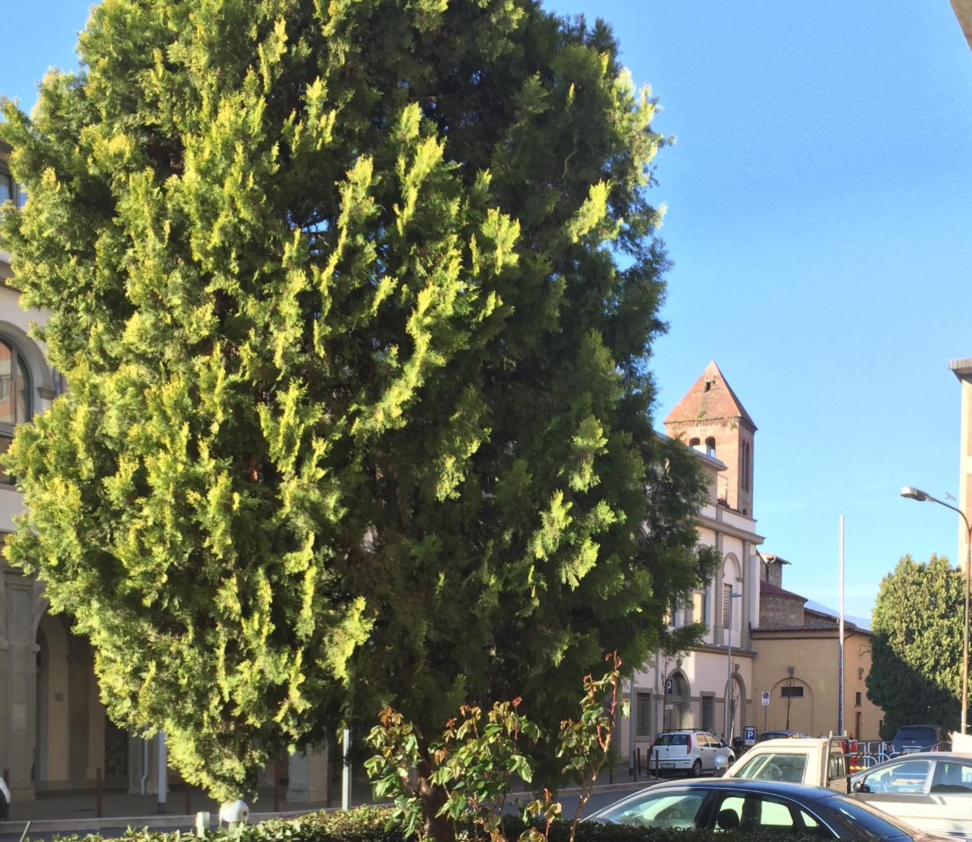 San Donato Flat Florença